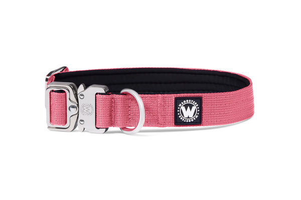 2.5cm-pink-platinum-tactical-collar-no-handle