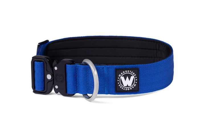 4cm-blue-tactical-collar-no-handle