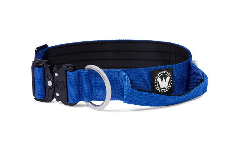 4cm-blue-tactical-collar-with-handle