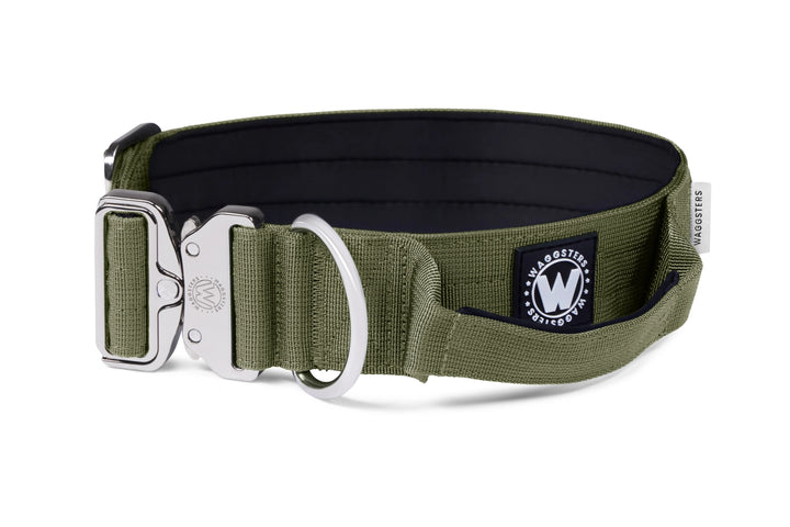 5cm-green-platinum-tactical-collar-with-handle