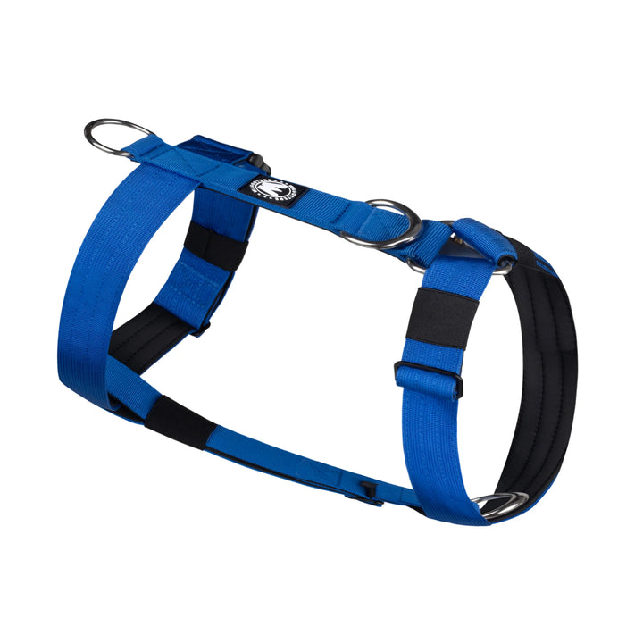 Blue TRI-CON Harness Product Image 2
