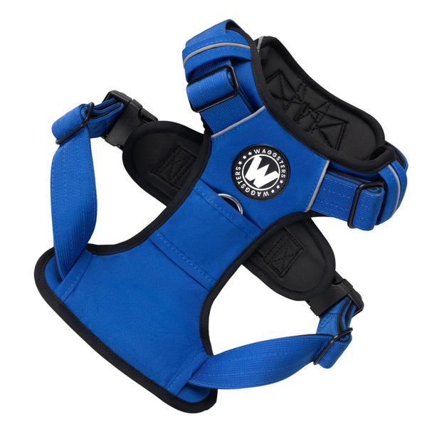 Venture-Harness-Blue-Product-Image-1
