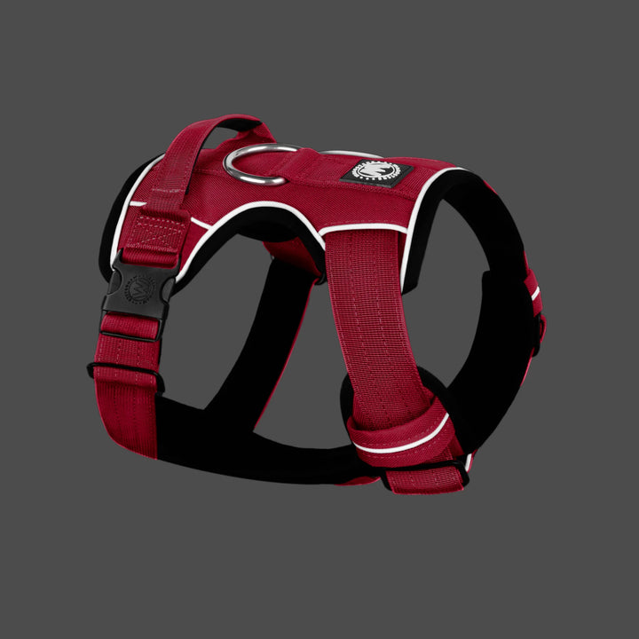 Venture-Harness-Pink-Product-Image-7